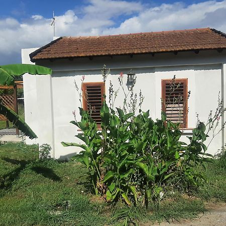 Azienda Agricola Neocastrum Lamezia Terme Zewnętrze zdjęcie