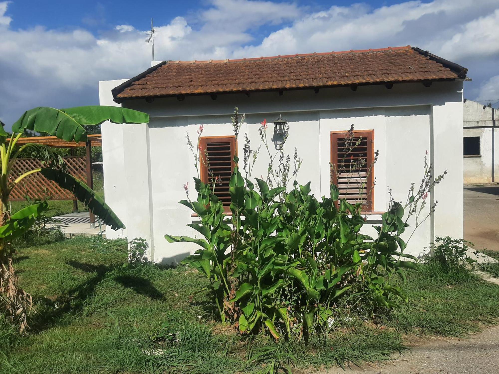 Azienda Agricola Neocastrum Lamezia Terme Zewnętrze zdjęcie
